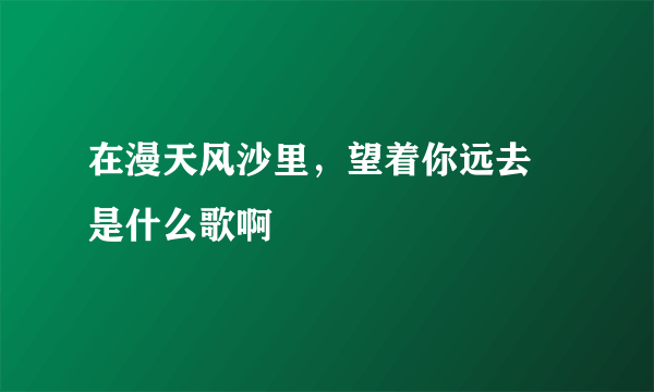 在漫天风沙里，望着你远去 是什么歌啊