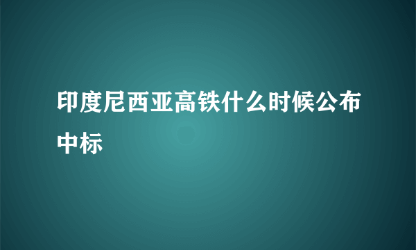 印度尼西亚高铁什么时候公布中标