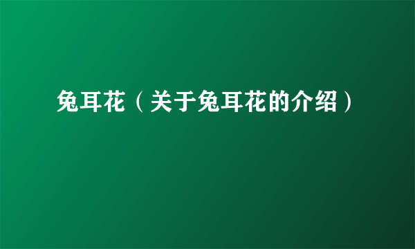 兔耳花（关于兔耳花的介绍）