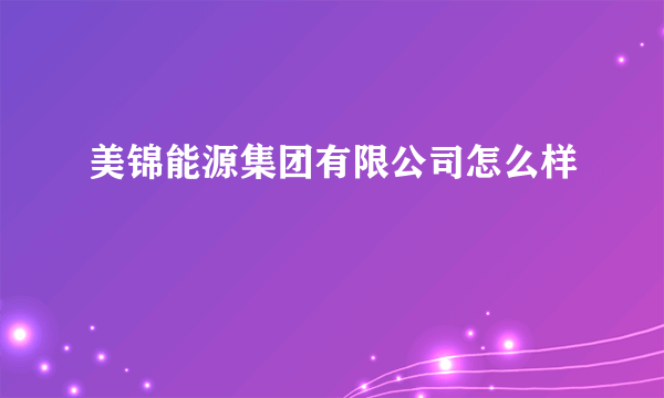 美锦能源集团有限公司怎么样