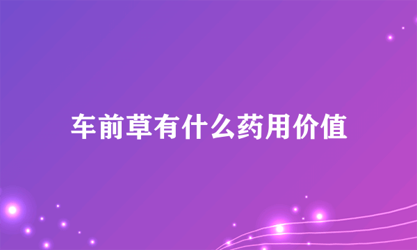 车前草有什么药用价值