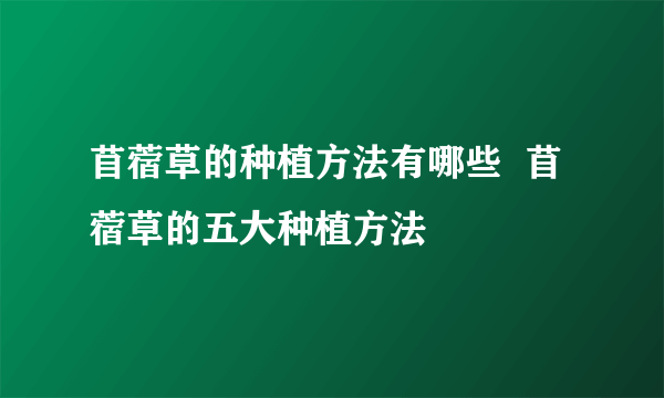 苜蓿草的种植方法有哪些  苜蓿草的五大种植方法