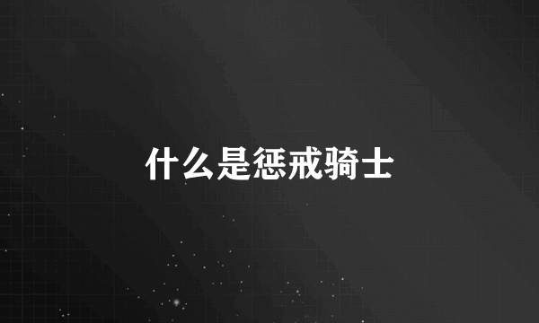 什么是惩戒骑士