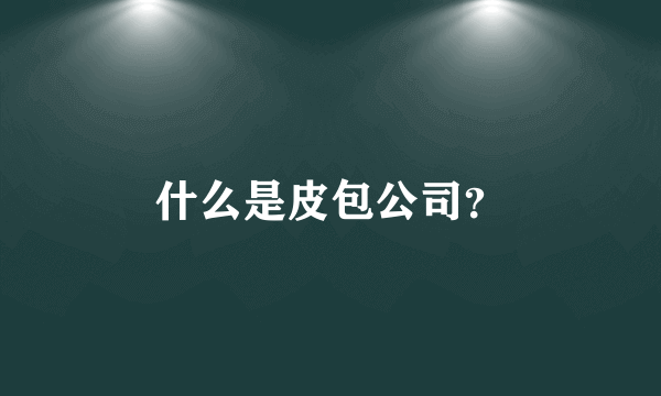 什么是皮包公司？