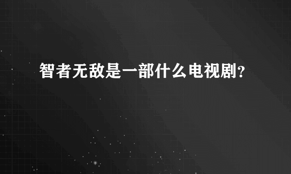 智者无敌是一部什么电视剧？