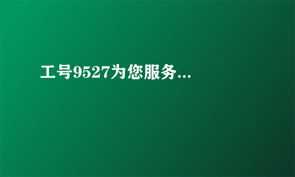 工号9527为您服务...