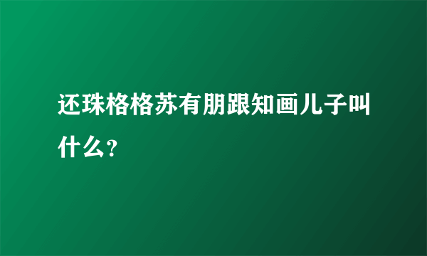 还珠格格苏有朋跟知画儿子叫什么？