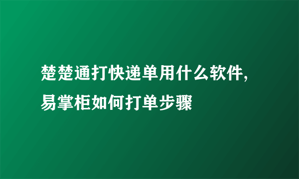 楚楚通打快递单用什么软件,易掌柜如何打单步骤