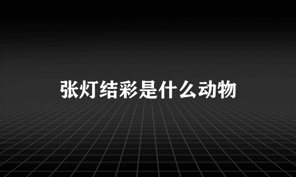 张灯结彩是什么动物
