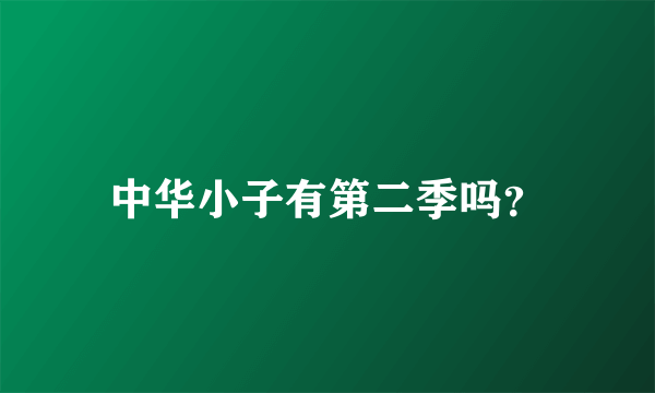 中华小子有第二季吗？