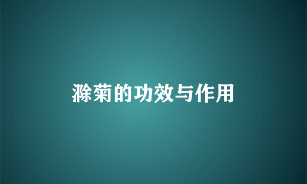 滁菊的功效与作用