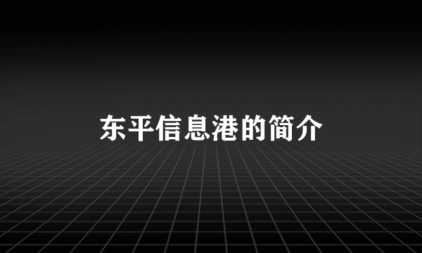 东平信息港的简介