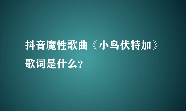 抖音魔性歌曲《小鸟伏特加》歌词是什么？