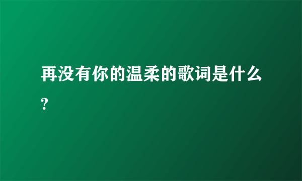 再没有你的温柔的歌词是什么?