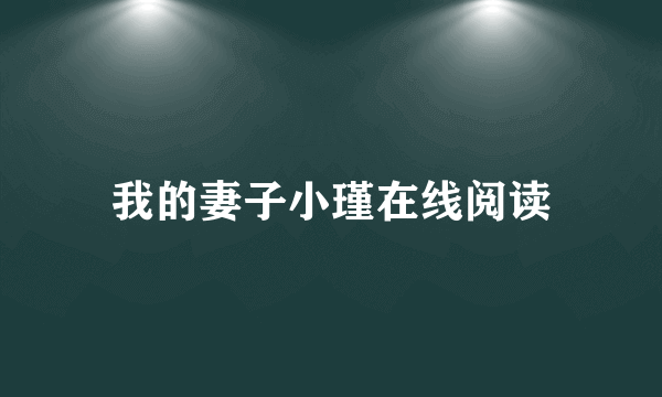 我的妻子小瑾在线阅读