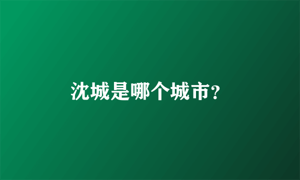 沈城是哪个城市？