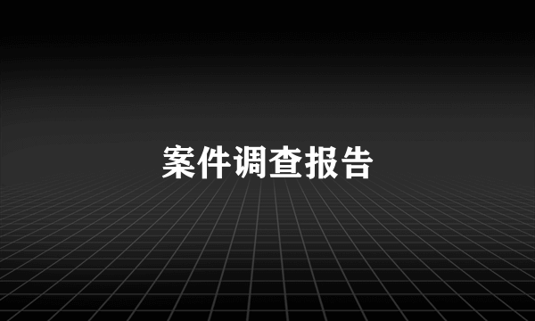 案件调查报告