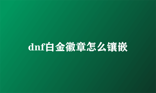 dnf白金徽章怎么镶嵌