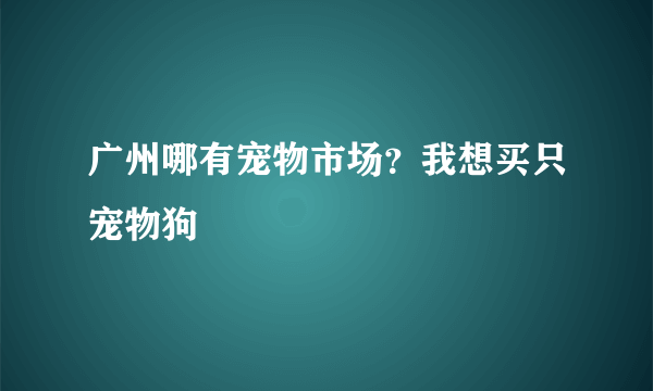 广州哪有宠物市场？我想买只宠物狗