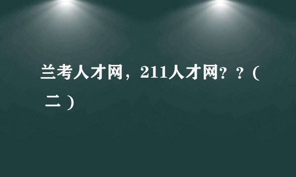 兰考人才网，211人才网？？( 二 )