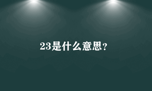 23是什么意思？