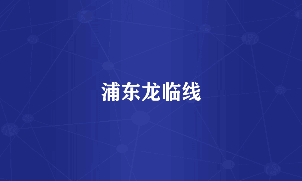 浦东龙临线
