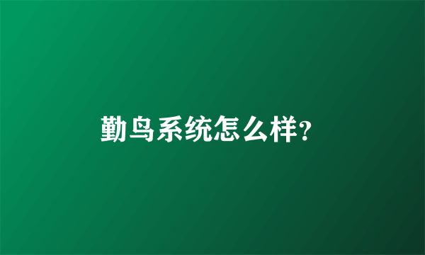 勤鸟系统怎么样？