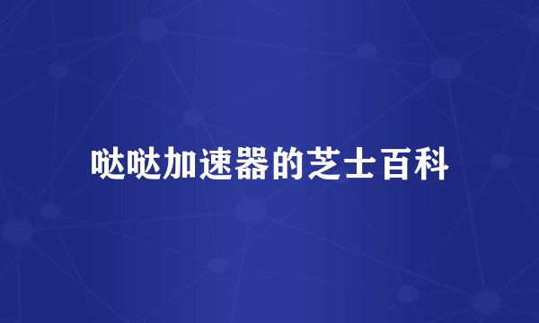 哒哒加速器的芝士百科