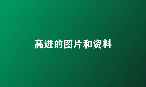 高进的图片和资料
