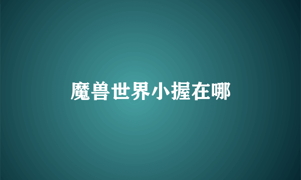 魔兽世界小握在哪
