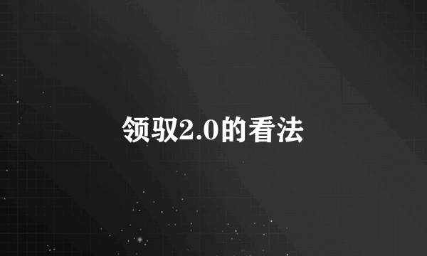领驭2.0的看法