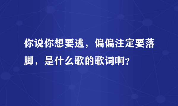 你说你想要逃，偏偏注定要落脚，是什么歌的歌词啊？
