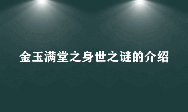 金玉满堂之身世之谜的介绍