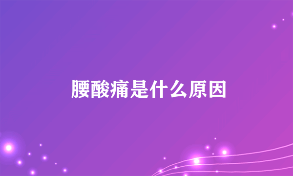  腰酸痛是什么原因