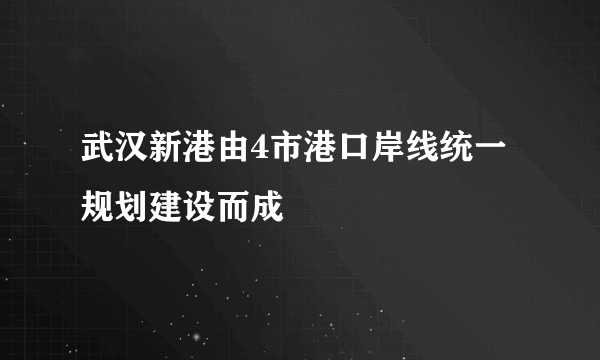 武汉新港由4市港口岸线统一规划建设而成
