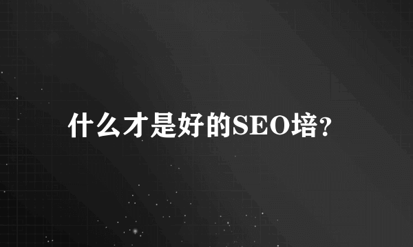 什么才是好的SEO培？