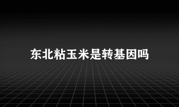 东北粘玉米是转基因吗