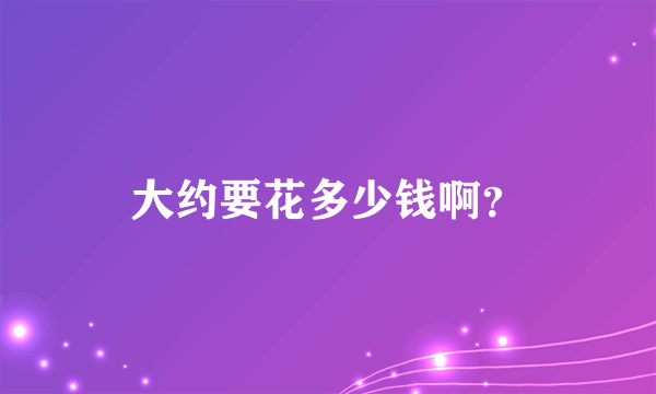 大约要花多少钱啊？