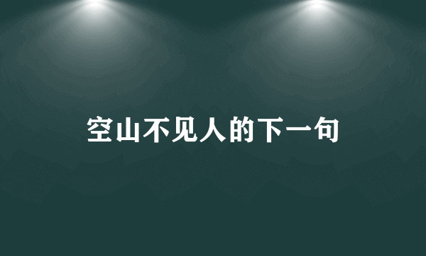 空山不见人的下一句