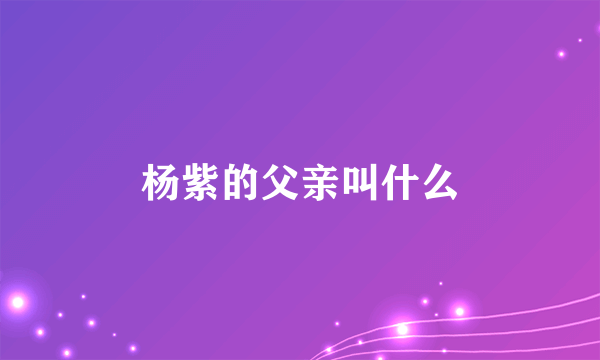 杨紫的父亲叫什么