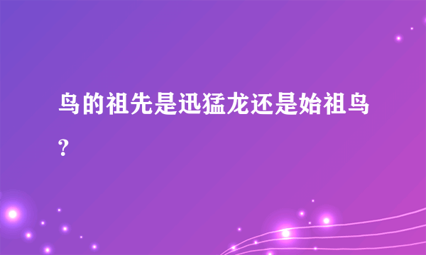 鸟的祖先是迅猛龙还是始祖鸟？