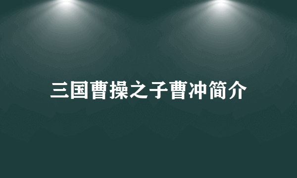 三国曹操之子曹冲简介