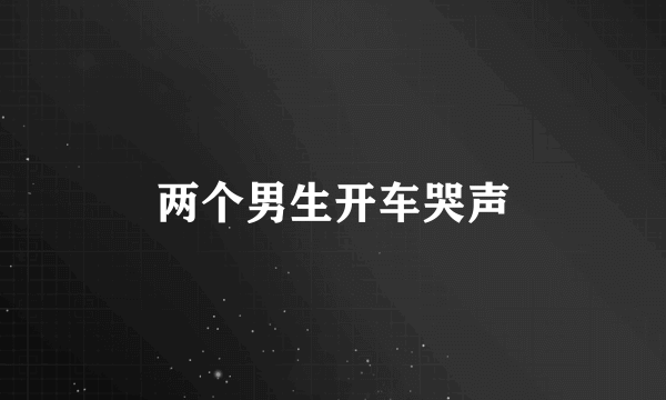 两个男生开车哭声
