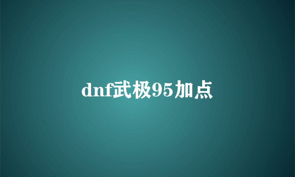 dnf武极95加点