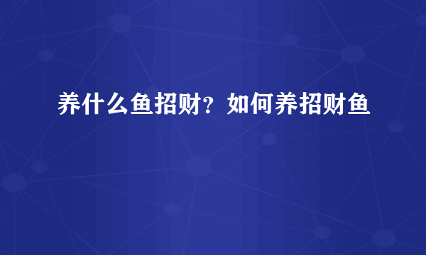 养什么鱼招财？如何养招财鱼