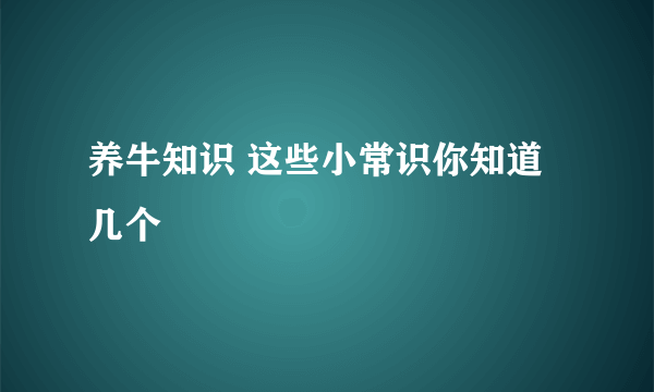 养牛知识 这些小常识你知道几个