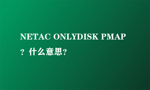 NETAC ONLYDISK PMAP？什么意思？