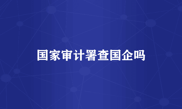 国家审计署查国企吗