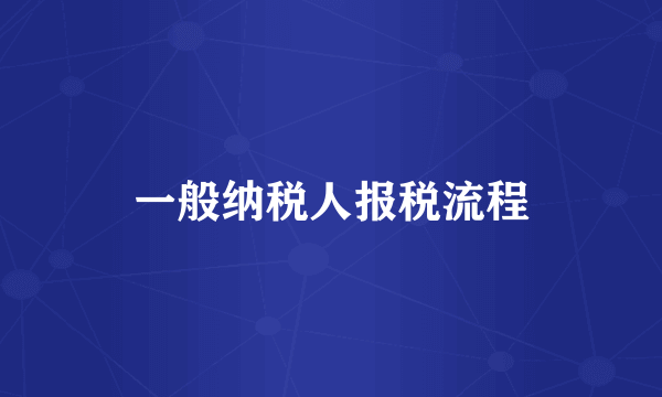 一般纳税人报税流程