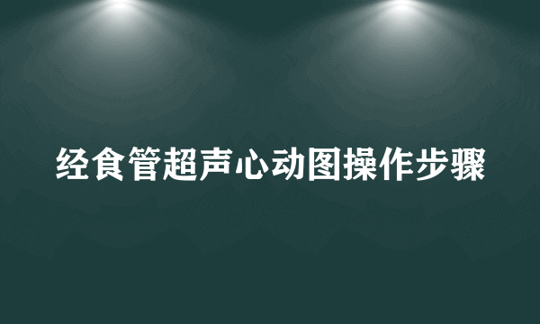 经食管超声心动图操作步骤